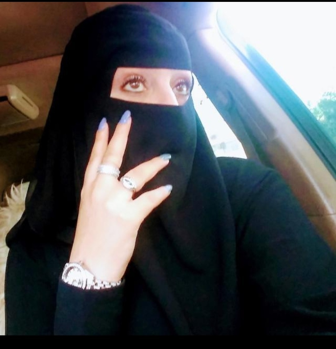 فراشه الربيع١