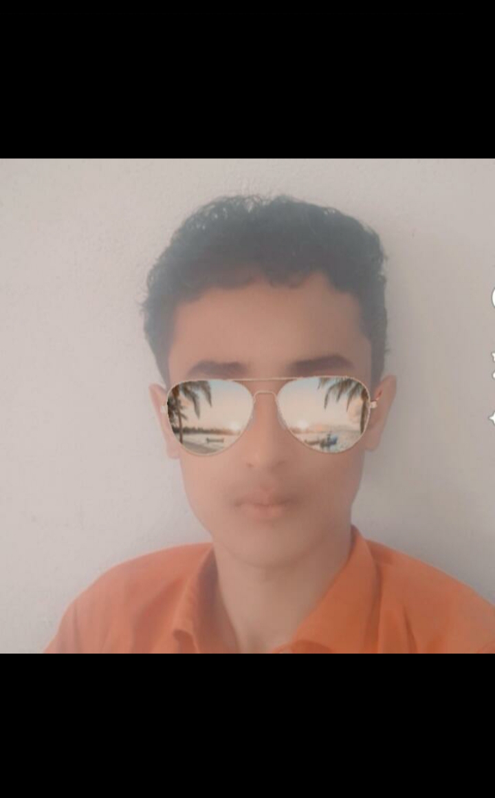 WAEL IDRIS