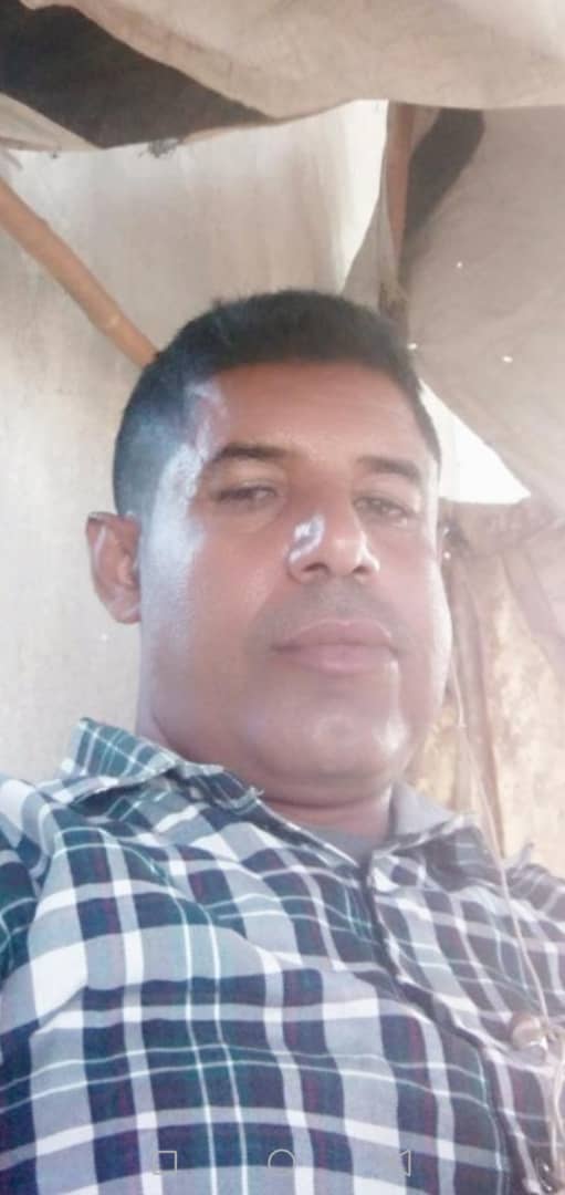 صقر اليمن