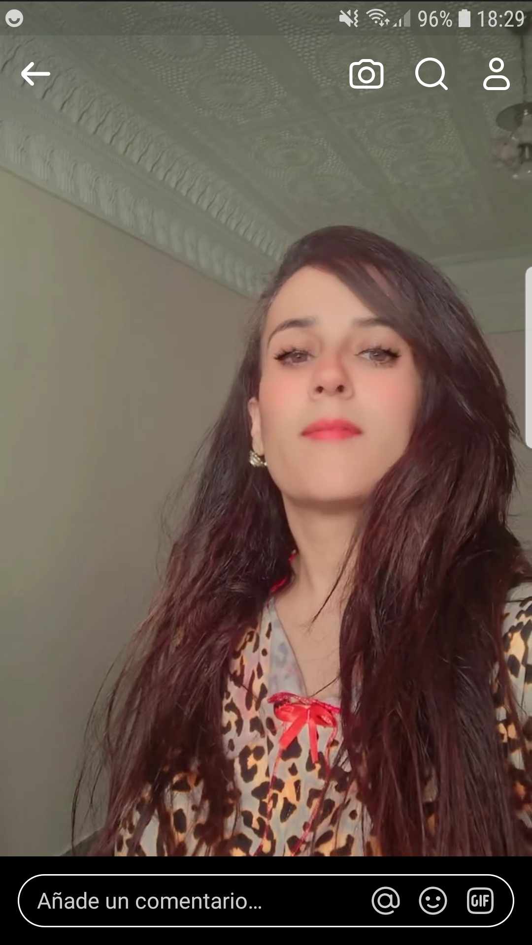 انا ميتلي