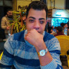 Ayman Abo Emera