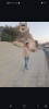 Maher sql