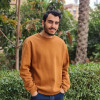 نور234